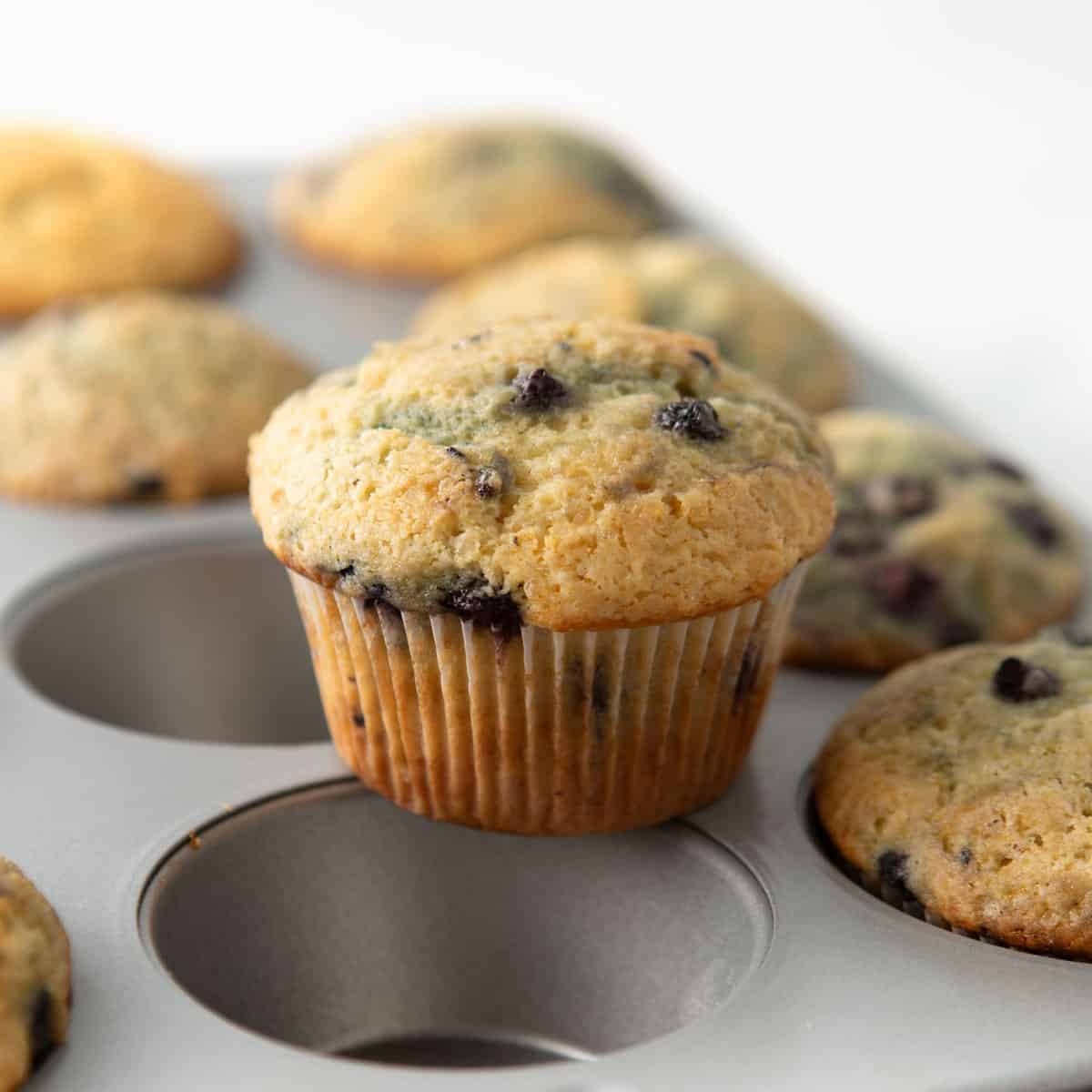 Moist Blueberry Muffins (with sour cream!) Design Eat Repeat