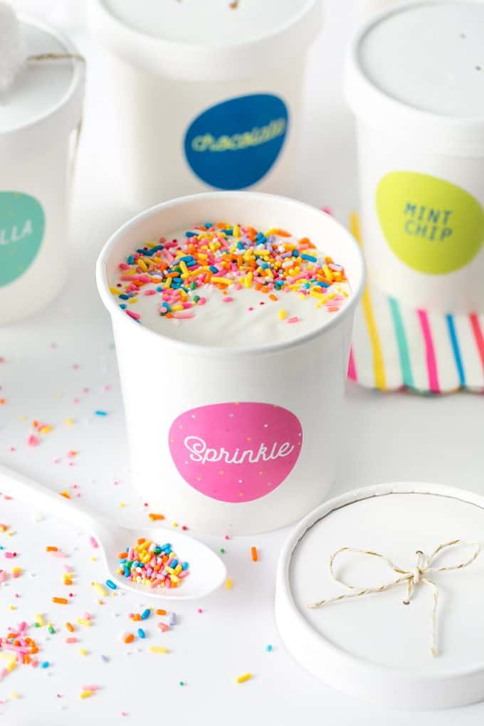 DIY Blank Mini Ice Cream Containers