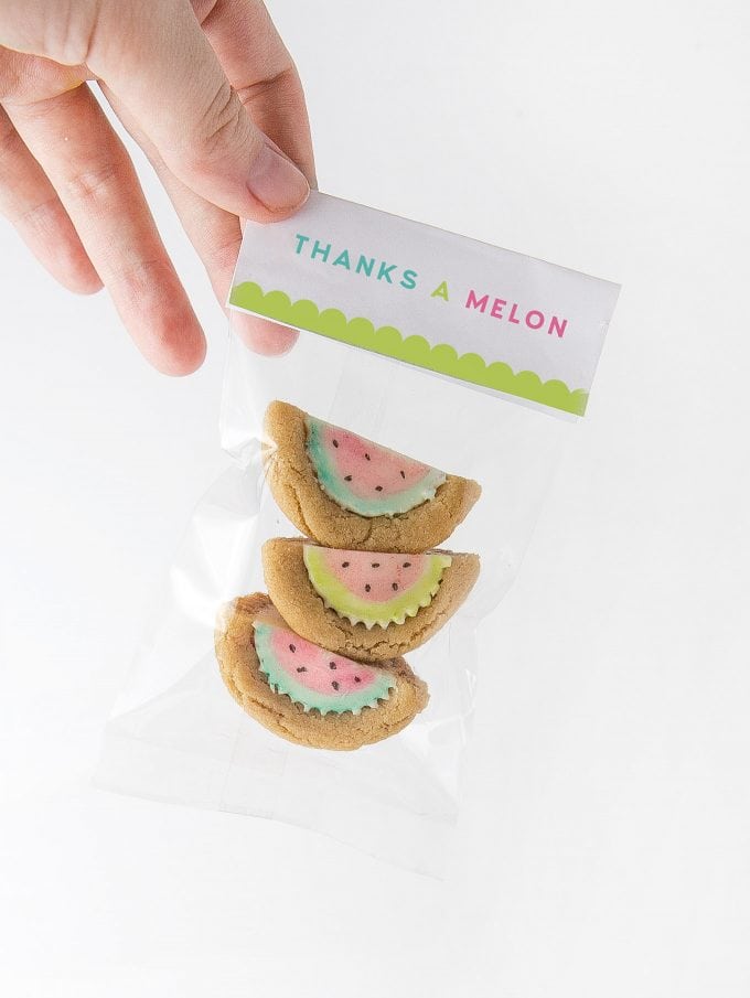 Watermelon Party Favor Treat Bags Thanks A Melon