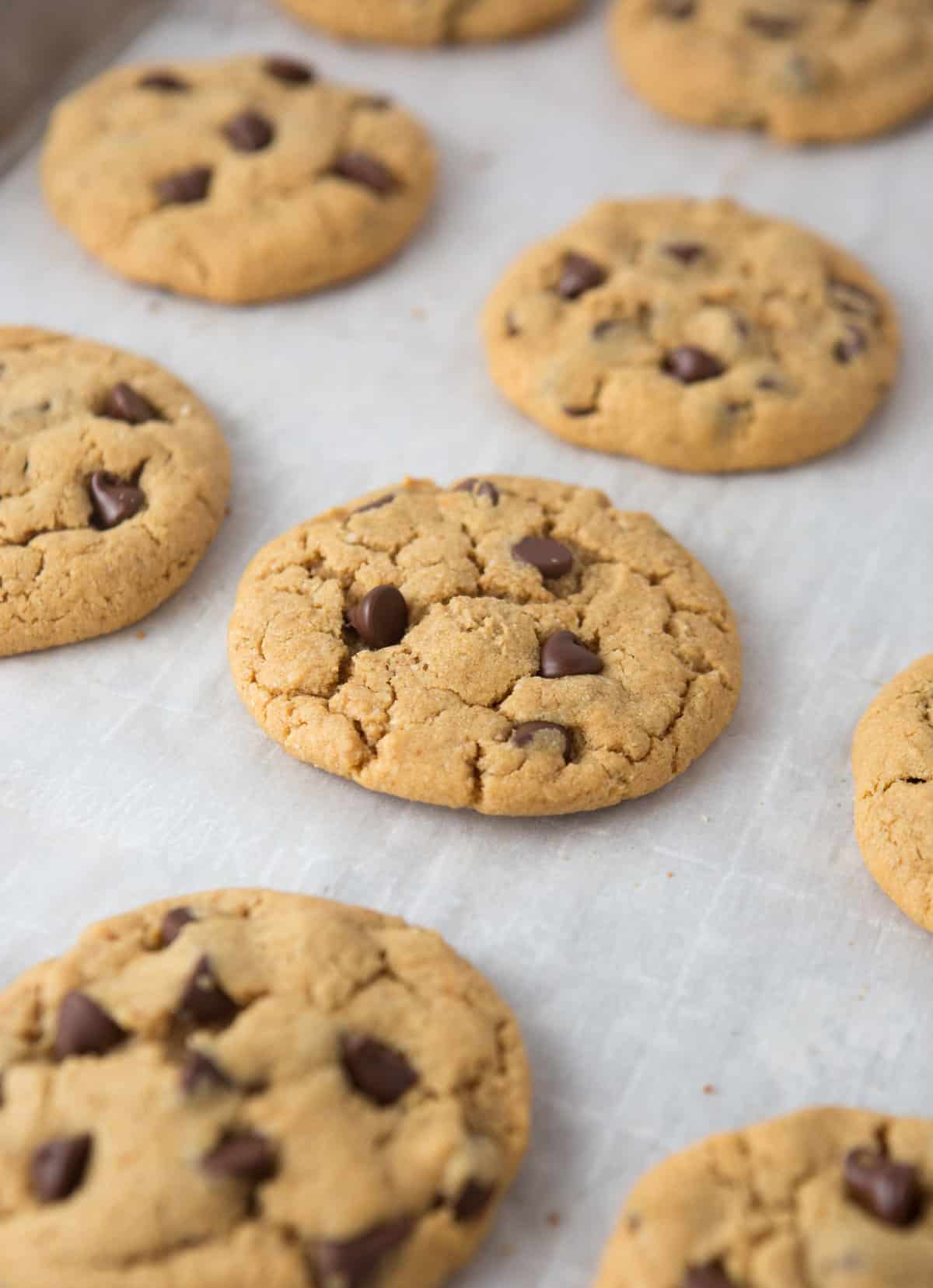 Gluten Free Peanut Butter Chocolate Chip Cookies