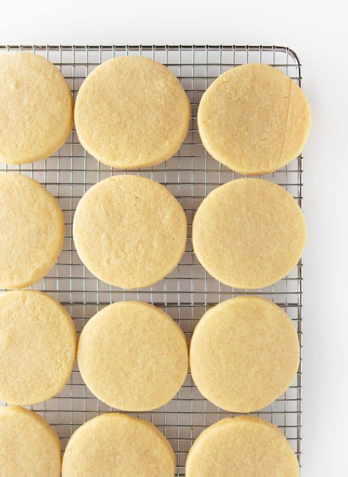 unfrosted round sugar cookies on cooling rack