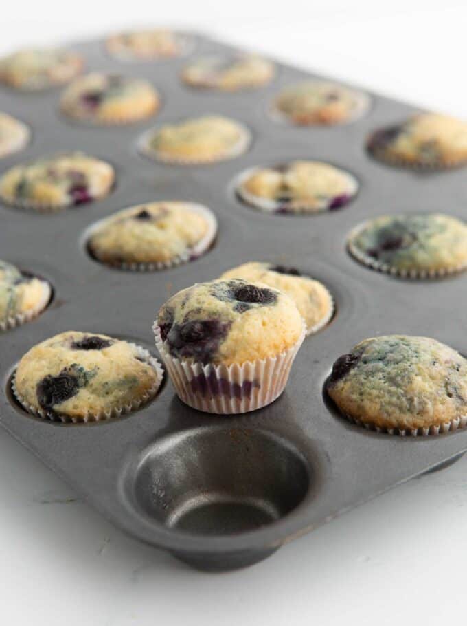 min blueberry muffins in pan