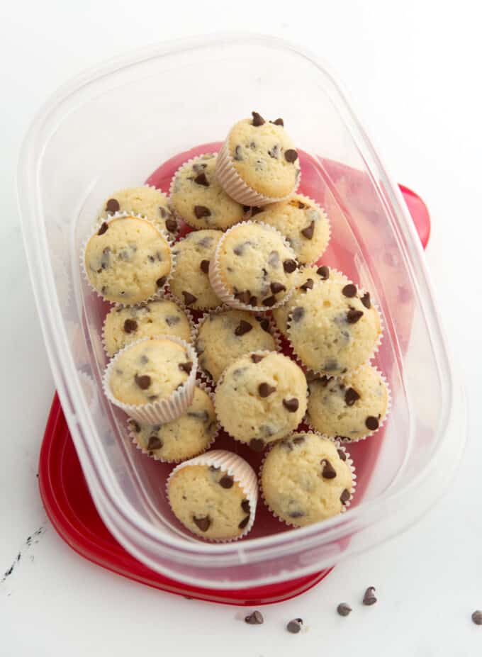 mini chocolate chip muffins in tupperware