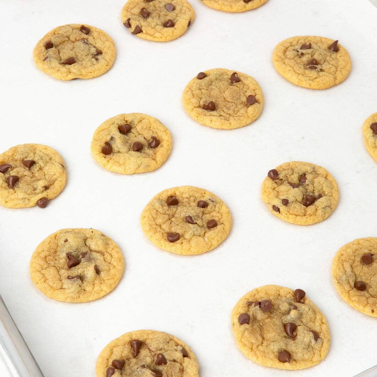 Mini Chocolate Chip Cookies