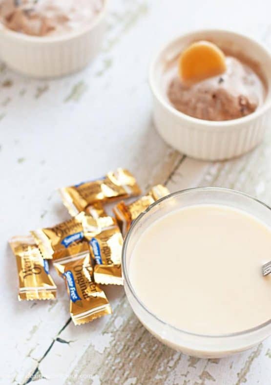 Werther's Sugar Free Caramel Ice Cream Sauce