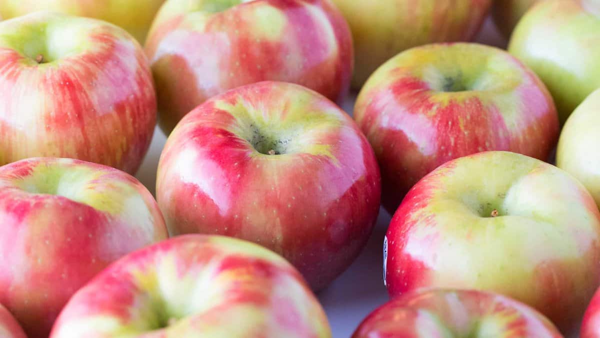 Honeycrisp apples for baked apple chips