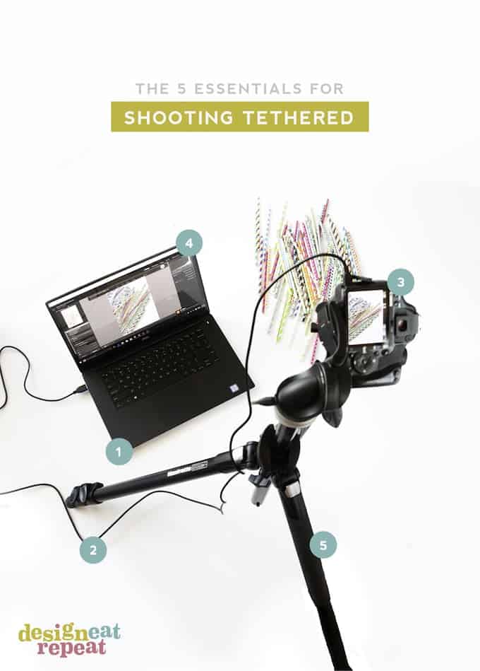 Learn how to tether your camera to Lightroom so that your photos appear directly on your computer screen while shooting!